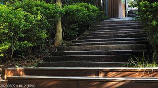 20200809徐靜怡1
