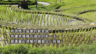2207黃騰旭